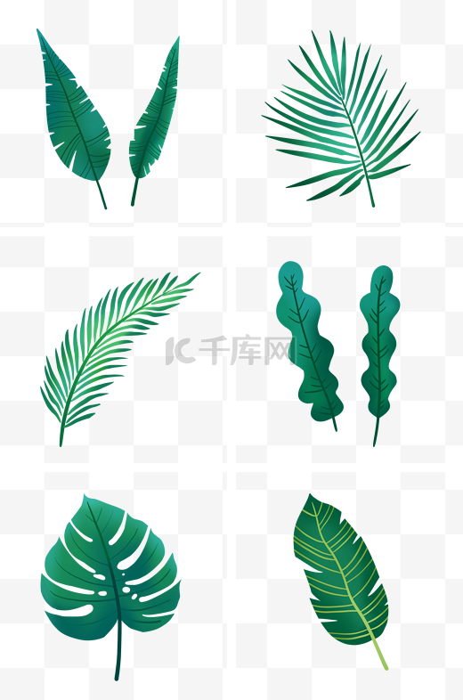 各种绿色叶子组图PNG免抠素材图片