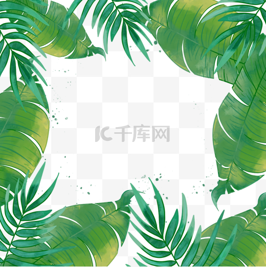 夏季热带水彩椰树叶子边框图片