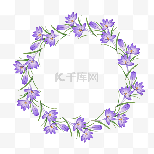 番红花水彩花卉紫色边框图片