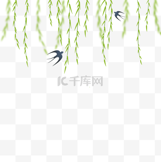 春季春天清明节绿色柳叶植物柳树枝图片