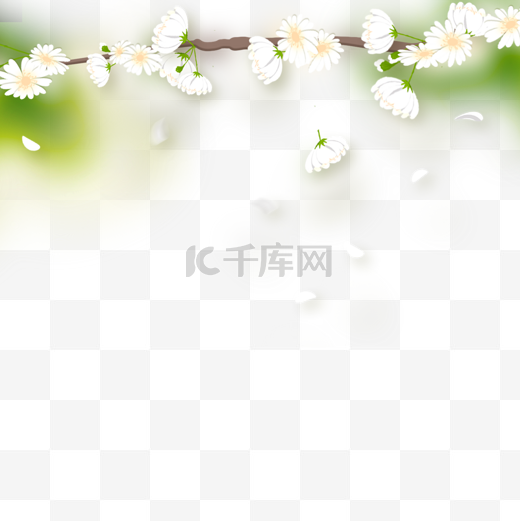 树枝上的白色花瓣春天光效花卉边框图片
