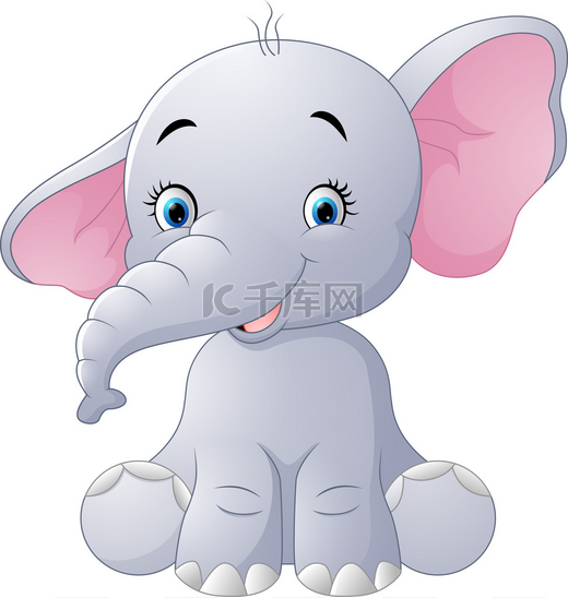可爱的小宝贝大象坐在白色背景上孤立图片