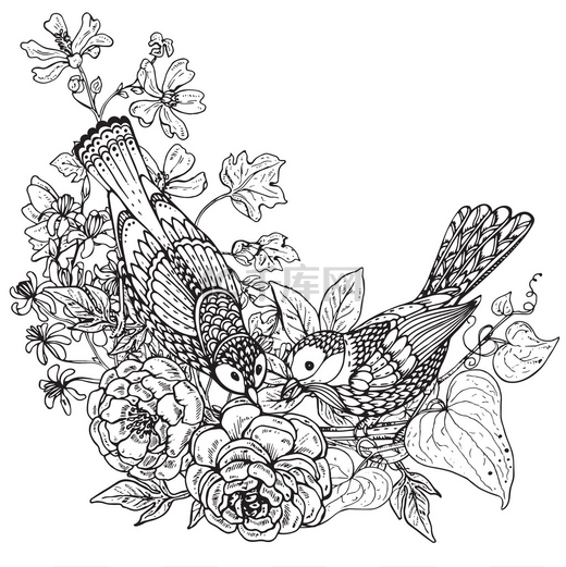 矢量图的两个手绘制图形的鸟类和牡丹 fl图片