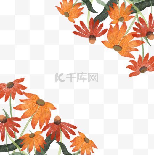 紫锥花水彩橙色花卉边框图片
