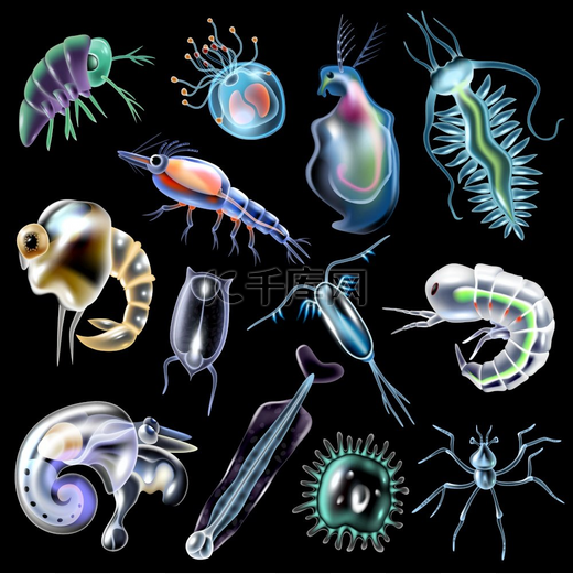 浮游生物彩色发光图标设置在黑色背景孤立矢量图的卡通风格。图片