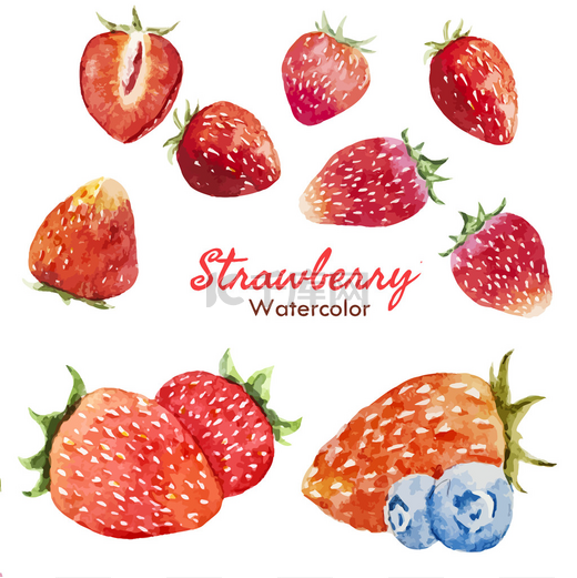 Berry set图片