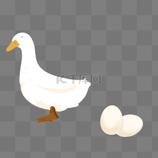 卵生动物鸭子卵图片