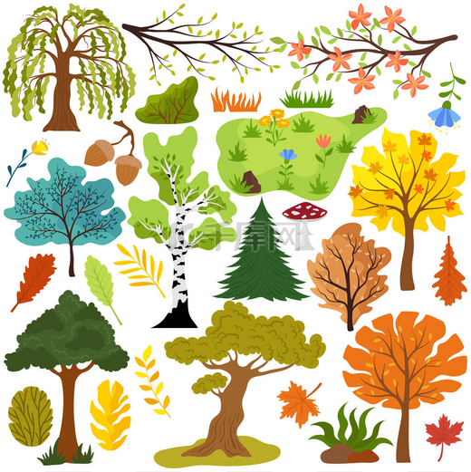 孤立的树叶集向量图解.带有自然、公园或森林元素的创意贴纸。手绘树木、叶子、花草，简朴的卡通风格，收藏图标图片