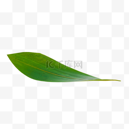 端午端午节绿色粽叶叶子图片