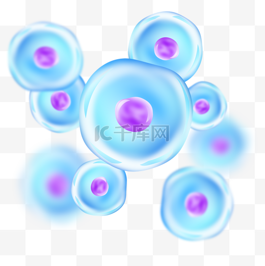细胞球形细胞动物细胞显微结构卡通蓝色球体图片
