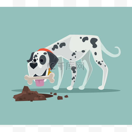 可爱的快乐达尔马提亚狗字符隐藏骨玩具食品。矢量平面卡通插画图片