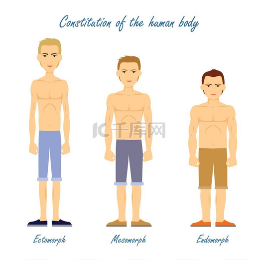人体电子照相中变形内变形人体的构成电子照相中变形内变形穿着内衣布的男人男孩有不同的身材类型扁平风格的体型和体质心理学概念矢量插图图片