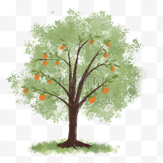 手绘丰收橘子树树木水果果树植物图片