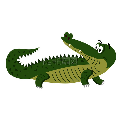 可爱的卡通鳄鱼在自然位置隔离在白色背景。图片