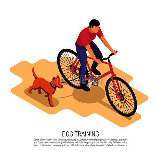 犬儒主义者耐力训练等角构图与骑自行车和跑步狗有氧运动教育海报矢量插图犬儒主义者等距构图图片