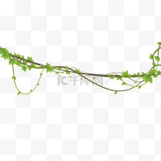 藤蔓植物绿植树藤图片