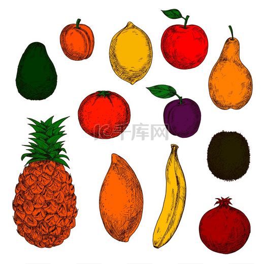 新鲜采摘的美味梨、红苹果、热带香蕉、菠萝、橙子、芒果和柠檬、甜桃、李子、成熟的鳄梨、石榴和奇异果。图片