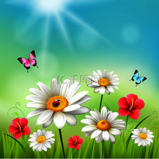 雏菊逼真的 3d 组合花在阳光下与蝴蝶和甲虫矢量图。图片