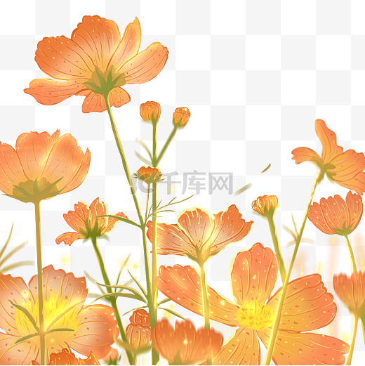 花瓣花丛花海橘色小雏菊图片