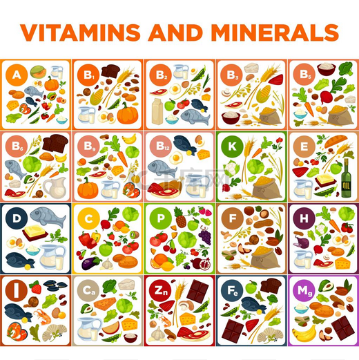 维生素和矿物质的大电子表格图片
