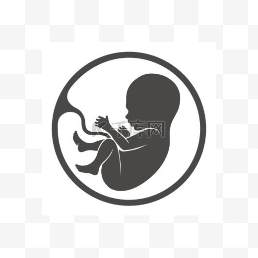 有胎盘轮廓的胎儿胎儿矢量图标产前人类儿童白色背景上分离出胎盘轮廓图片
