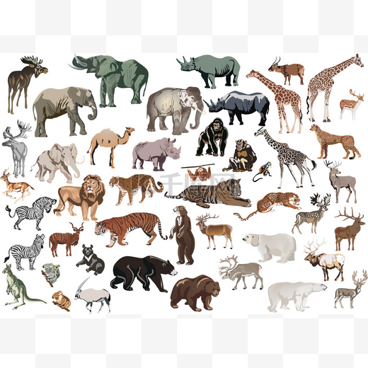 孤立的彩色动物数量巨大图片