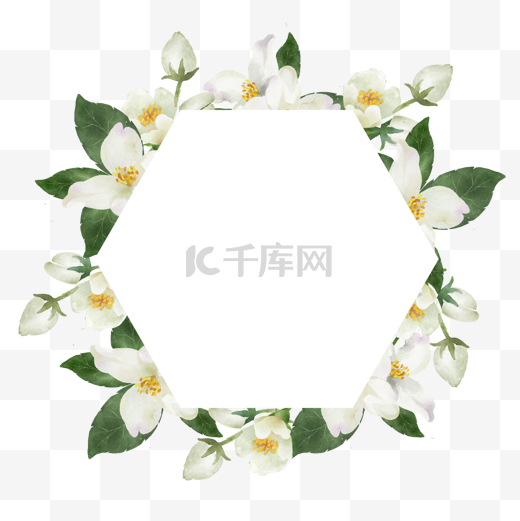 茉莉花边框六边形水彩花卉图片