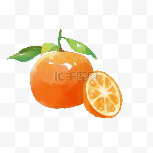 手绘水彩水果柑橘手账贴纸图片