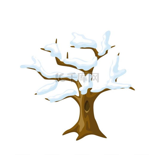 冬天的树，树枝上有雪。图片