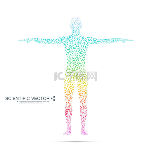结构分子的人。抽象模型人体 Dna。医学、 科学和技术。您设计的的科学矢量.图片