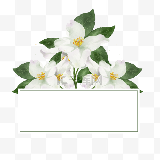 茉莉花边框方形婚礼水彩花卉图片