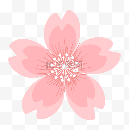 白色花蕊粉色樱花图片