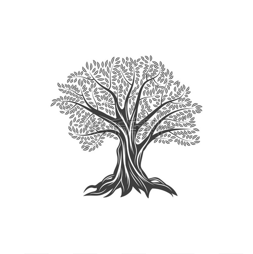 橄榄树图标，有树叶和树枝、橄榄油和食物矢量扁线标签。图片