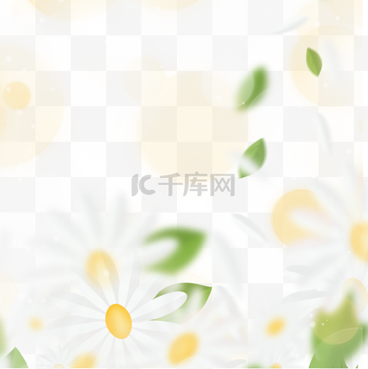 闪光白色花朵春天光效花卉边框图片