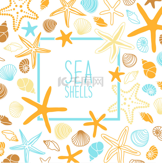  贝壳和海星的框架图片