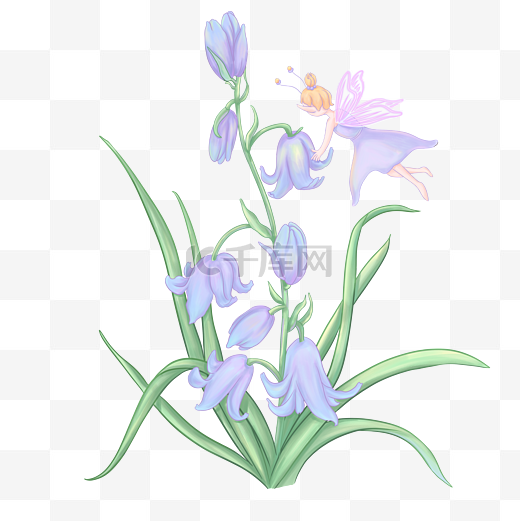 春天蓝铃花花朵和小精灵水彩花卉铃兰图片