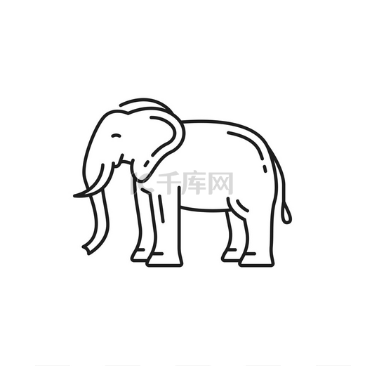 泰国动物大象孤立的细线图标有象鼻和两根獠牙的非洲大象矢量狩猎非洲灌木林亚洲象科侧视图泰国动物标志大型濒危哺乳动物大象有象鼻两根象牙呈孤立细线图片