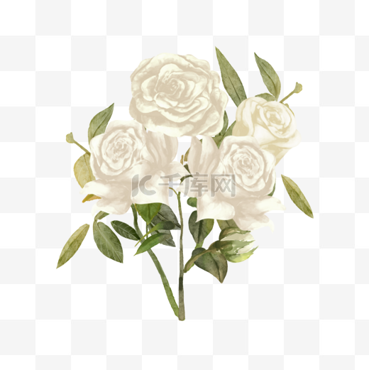 白玫瑰水彩婚礼花卉贺卡图片