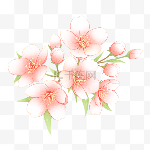 春天淡雅清新粉色樱花水彩主题元素图片