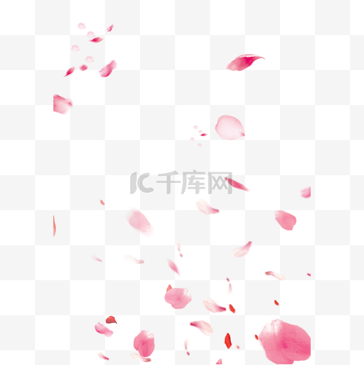 春天桃花花瓣装饰漂浮素材图片