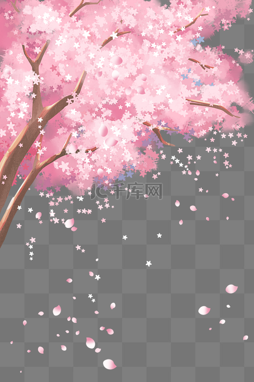 樱花樱花季景色粉色图片