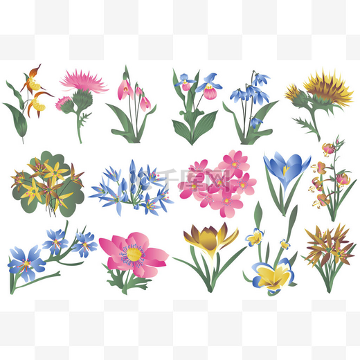 野花盛开,花开花落隔离.菊花、百合花、雪花和其他类型的春夏植物。一束束花卉元素。手绘设计中的矢量图解图片