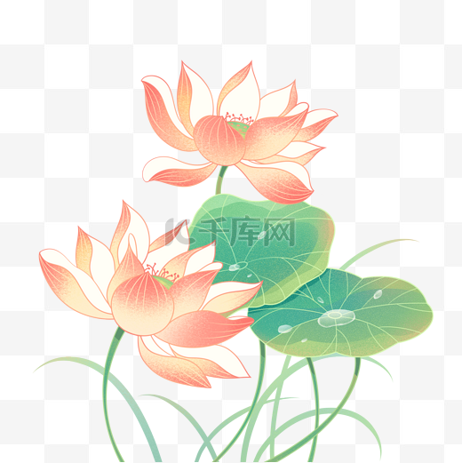 中国风新中式国潮装饰花卉荷花插画图片