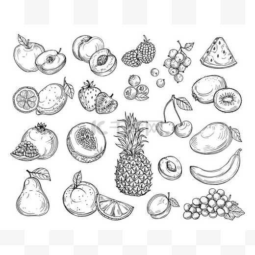 素描水果。草莓瓜，桃子芒果。香蕉菠萝，覆盆子葡萄手绘水果浆果矢量集图片