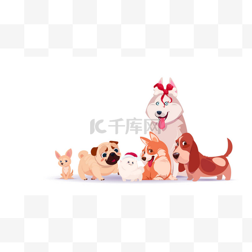 一群可爱的狗坐在白色的背景上, 戴着圣诞老人的帽子, 手持装饰骨亚洲象征2018年新年图片