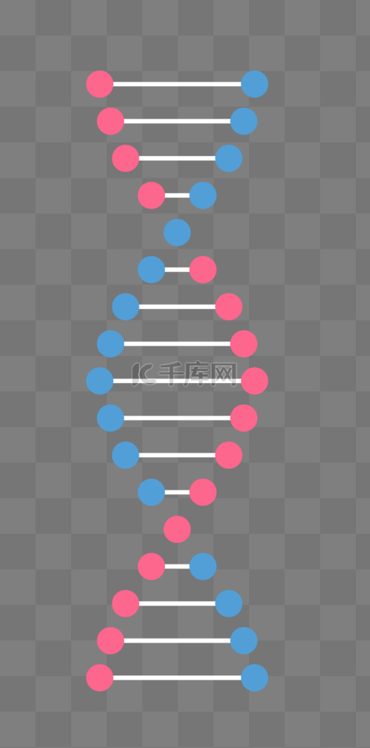 矢量基因链DNA图片