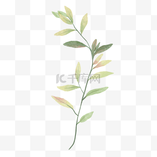 水彩婚礼植物叶子图片