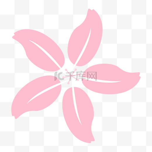 白色线条粉色樱花花瓣图片