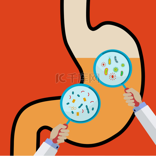 人的胃，手里拿的放大镜显示病毒和细菌矢量的概念图片