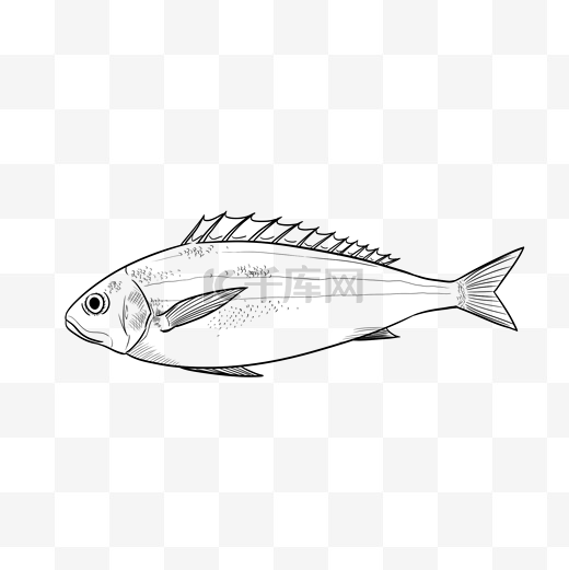 线描热带鱼图片